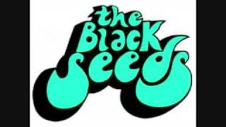 Video thumbnail of ""So True" by tHe Black sEEds"