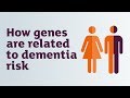 How genes are related to dementia risk  alzheimers research uk