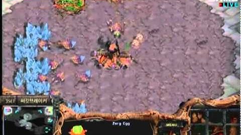 PDPOP MSL Semi-Finals - Jaedong vs. Hydra Set 3