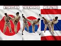 Roundhouse kick  kyokushin karate vs muay thai vs taekwondo  technical comparison