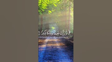 آيات تتلى… فتسكن بها الأرواح وتطمئن القلوب 💚#قرآن #راحة_القلب  #ريلز_قرآن