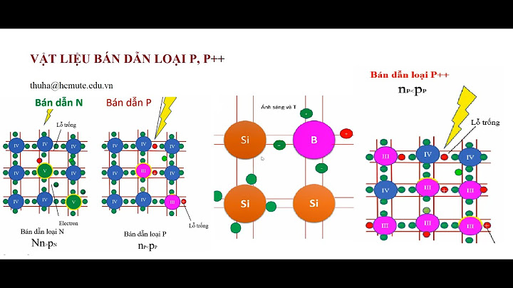 Chat bán dan tap chat loai p là gì năm 2024