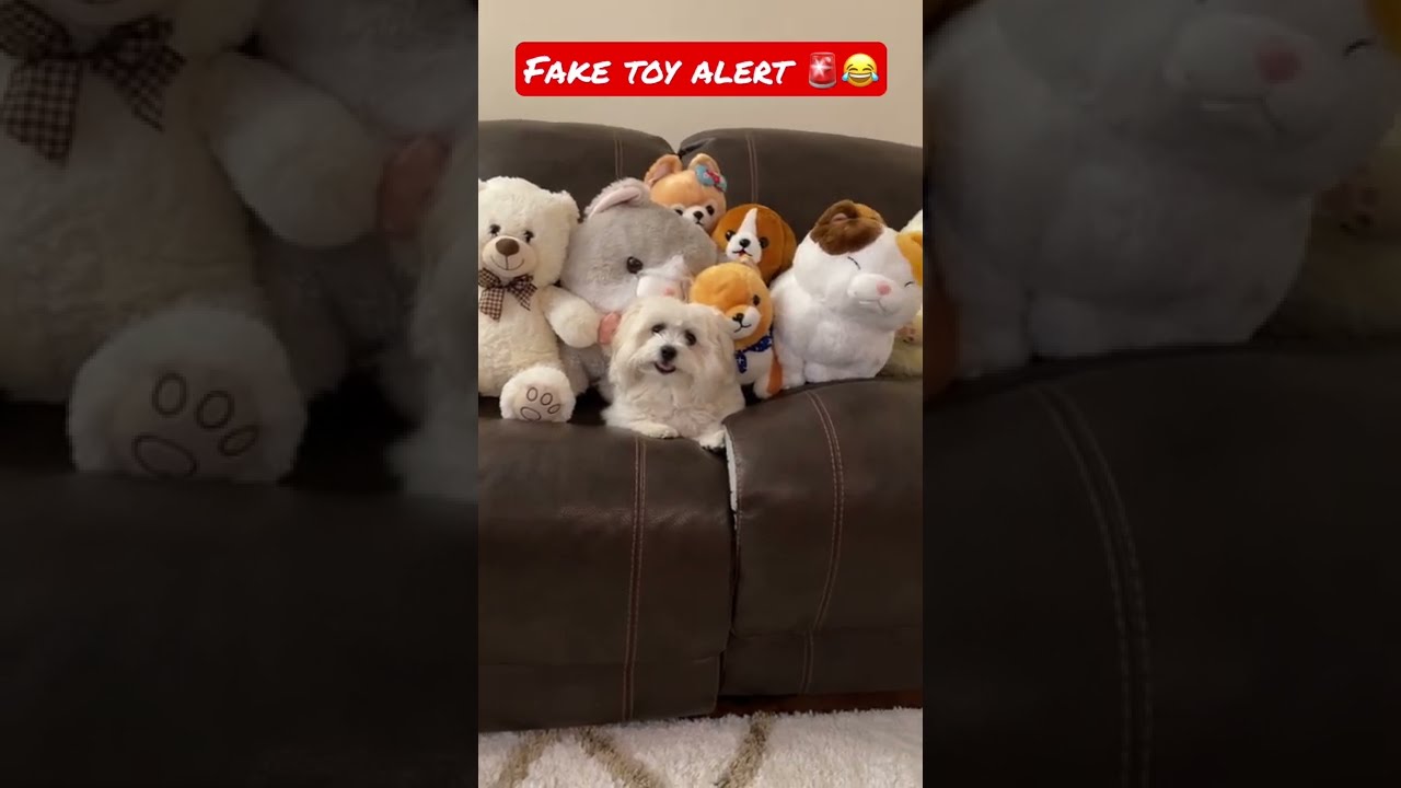 Fake Toy Alert 