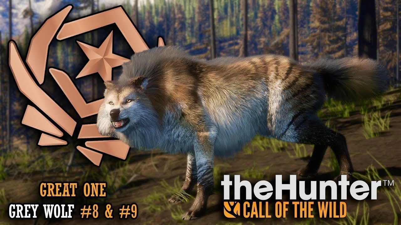 Setting up my wolf great one grind join the fun sub goal 176\200 pt 4 62 kills