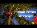 आमच्या अंगणातलं नारळाचं झाड | Coconut Tree | Village Life | gavakadchya goshti |Coconut Cutting