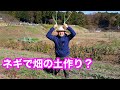 【自然菜園ネギ講座！】ネギを制するものが無農薬家庭菜園を制する！？