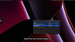 Build linux server and create fleet and alias
