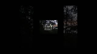 Rebecca Walker, Becoming The Third Wave