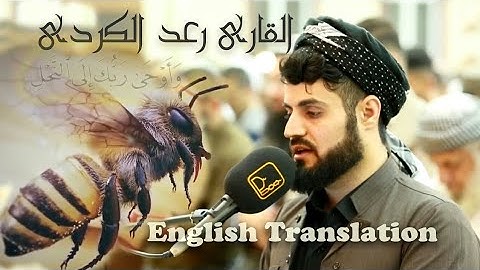 Raad Mohammad Al Kurdi - Surat An-Nahl - English Translation | رعد محمد الکردی سوره النحل