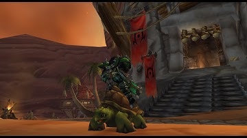 Turtle WoW Feral Druid Tank Naxx