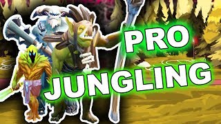 Dota 2 Tips: Professional 7.07 Jungling Guide!