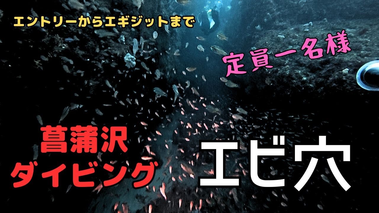 伊豆の菖蒲沢「エビ穴」で潜ってきた　　Diving in Izu's Shobuzawa 