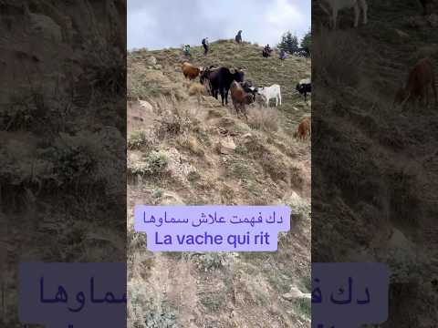 غلاش سماوها     عرفت الجواب في اعالي تيكجدة لالة خديجة 