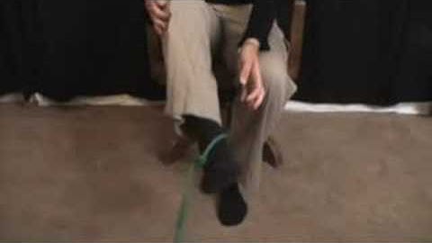 Hamstring Pain Rehab Video - Hamstring Weakness