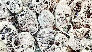 Skeleton Surprise - Halloweenie Gym Chalk Crush