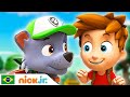 PAW Patrol | Resgates na fazenda | Nick Jr. em Português