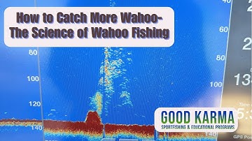 How to Catch More Wahoo- The Science of Wahoo Fishing