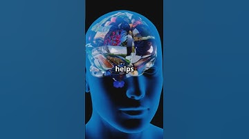 What Unusual Brains Reveal in 30 Seconds! #sciencefather #neuroscience