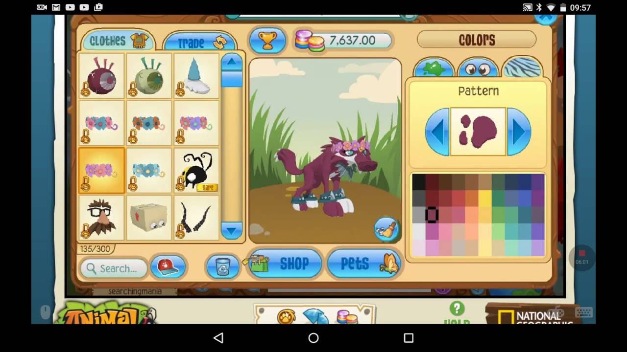 Animal Jam Warrior Cat Wolf Big Looks Flower Crown D