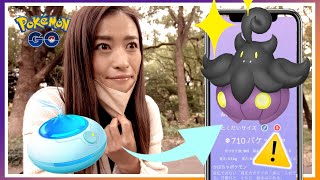 色違いバケッチャ 想定外の事実判明 ハロウィンイベントパート２初日レポート ポケモンgo Youtube