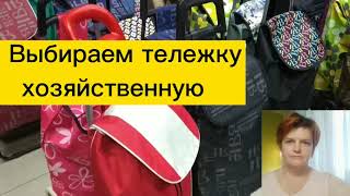 Выбираем тележку хозяйственную