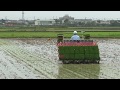 苗箱数を減らす！密苗播種・移植栽培システム