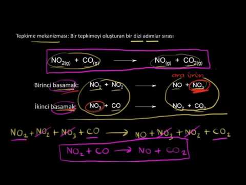 Video: Tepkime hızını hangi adım belirler?