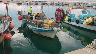SEALIVE Ghost Nets
