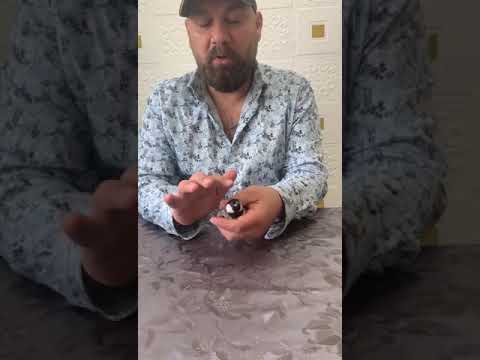 كيف اعرف البلبل ذكر ام انثى 97 