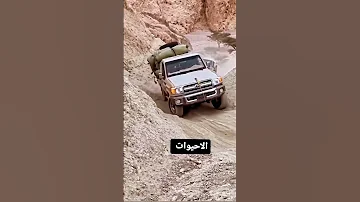 الاحيوات تهريب جنوب الاردن 