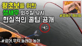 외수질낚시 초보자를 위한 꿀팁 / 우럭낚시 / 농어낚시 / 광어낚시 / 생새우미끼/ 선상낚시꿀팁