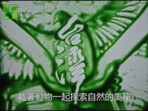 臺北市立動物園_諾亞方舟的秘密_沙畫
