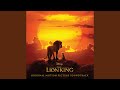 Circle of Life/Nants' Ingonyama