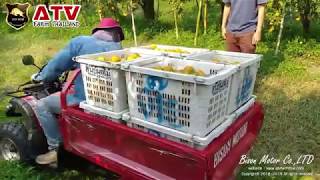 EP9. ATV FARM รถเอทีวีฟาร์ม รีวิวสวนส้ม 300ไร่ สวนส้มสิทธวงศ์