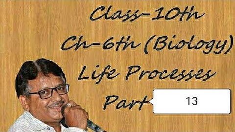 Class 10 Science Biology Ch 6 Life Processes Part 13 l ધોરણ 10 વિજ્ઞાન પ્રકરણ-૬ જૈવિક ક્રિયાઓ