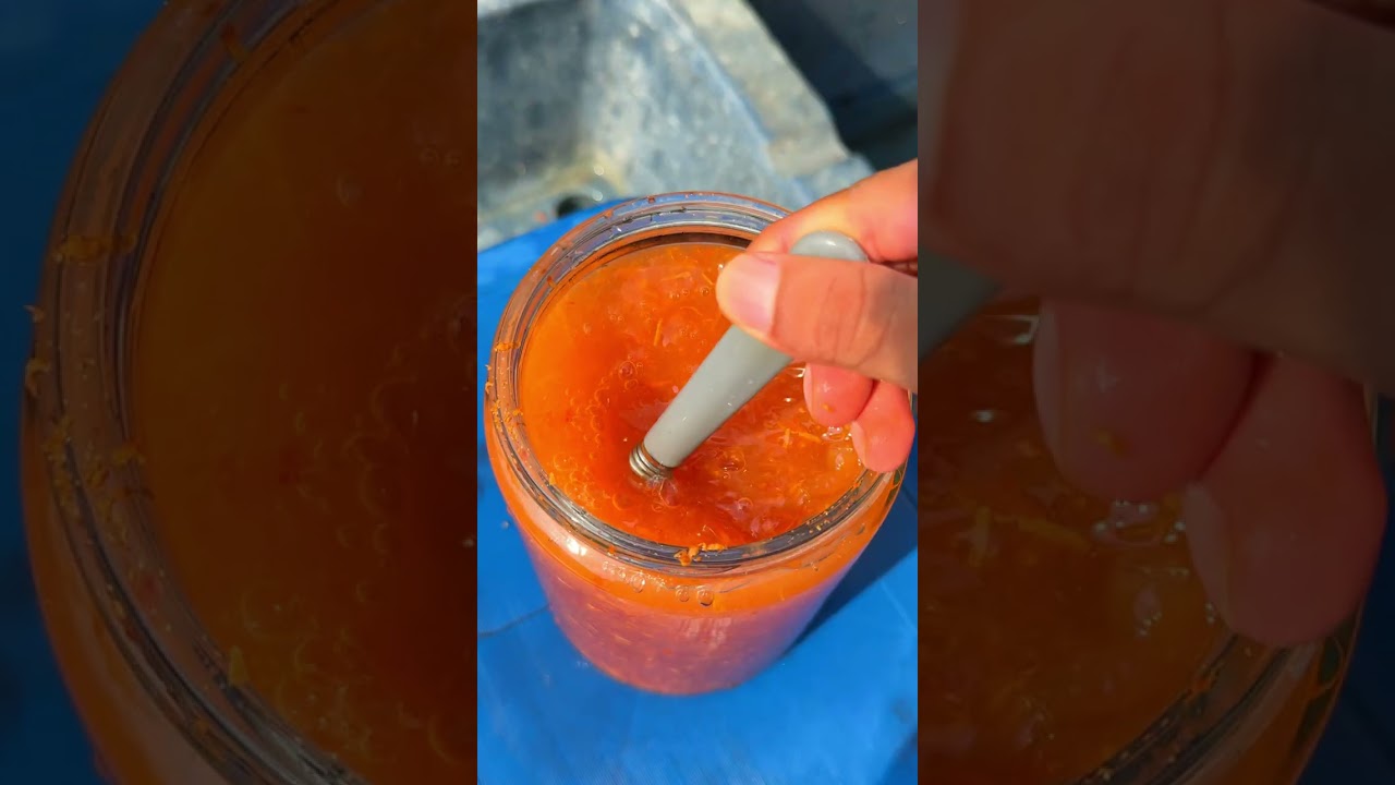 Como hacer un abono casero para plantas #shorts