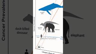 The 200-Year-Old Whale That Broke Biology