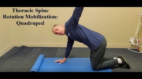 Thoracic Spine Rotation Mobilization - Quadruped