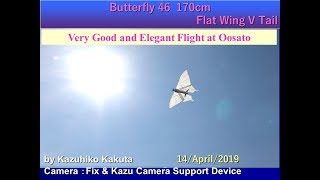 Butterfly 46 170cm Flat Wing V Tail: Very Good and Elegant Flight