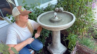Setting up the New Fountain! ⛲️ :: Dig, Plant, Water, Repeat