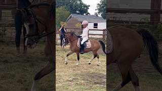 This Pony Could Be Yours