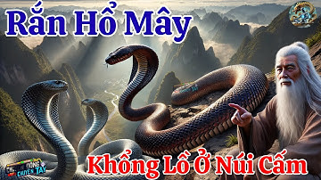 RẮN HỔ MÂY KHỦNG LỒ Ở THẤT SƠN BẢY NÚI CÓ THẬT HAY LỜI ĐỒN Ở NÚI CẤM