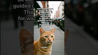 HEAR THIS! A Cat's Prayer for You Today 🙏😇#shorts #love