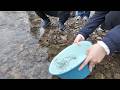 China releases salmon fry into boundary river to support ecological cooperation