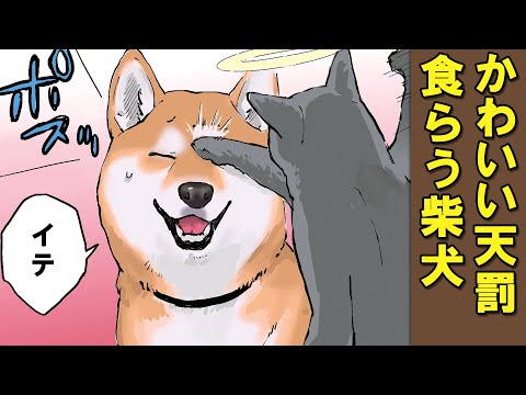 猫の神様に直々にバツを与えられる柴犬【アニメ】【漫画】