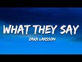 Zara Larsson What They Say Lyrics mp3