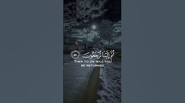كل نفس ذائقة الموت / القارئ عبد الرحمن مسعد  #قرآن