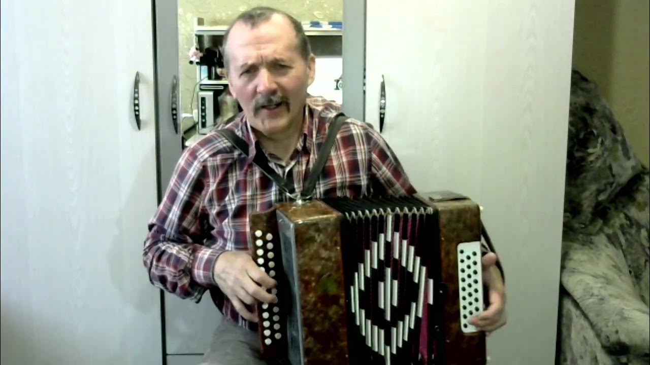 разыграйся гармонь моя