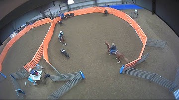 Big Sky Ranch Sorting Saddle Series #3 - #10 H/C - Round #2 - Ride #8