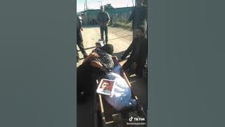 Şehid olan esger dirilir .ŞOK .ŞOK.ŞOK